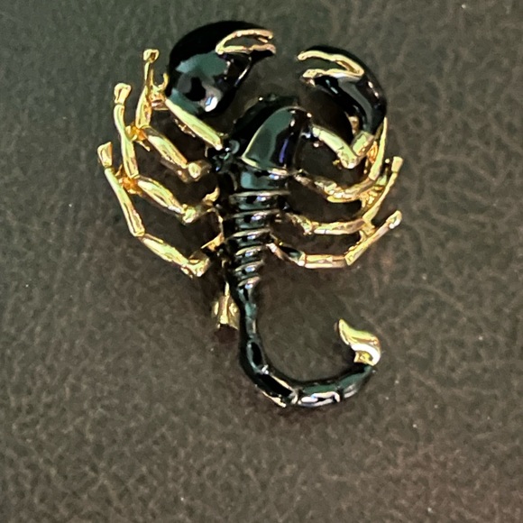 Beautiful SCORPION Brooch❣️ - Picture 5 of 5